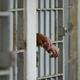 Image for article titled If a major disaster hits, will people in prison be screwed?